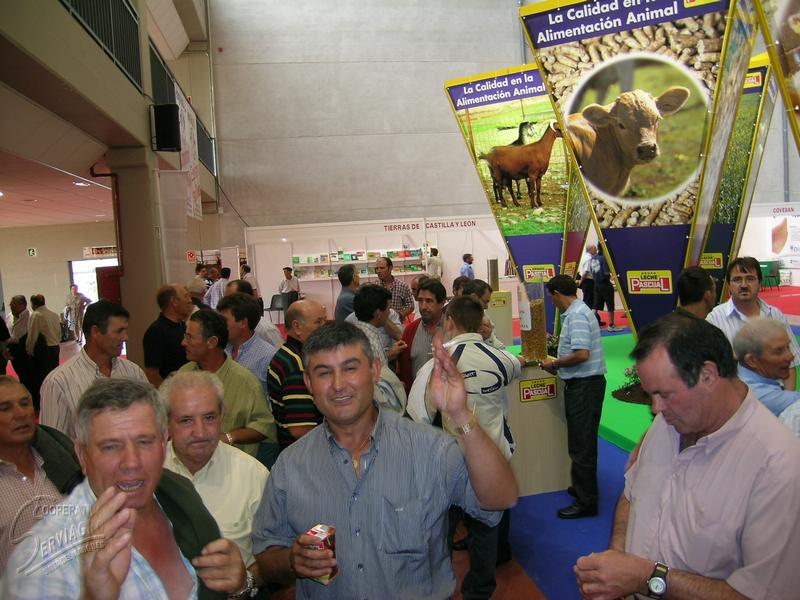 DSCN6810.JPG